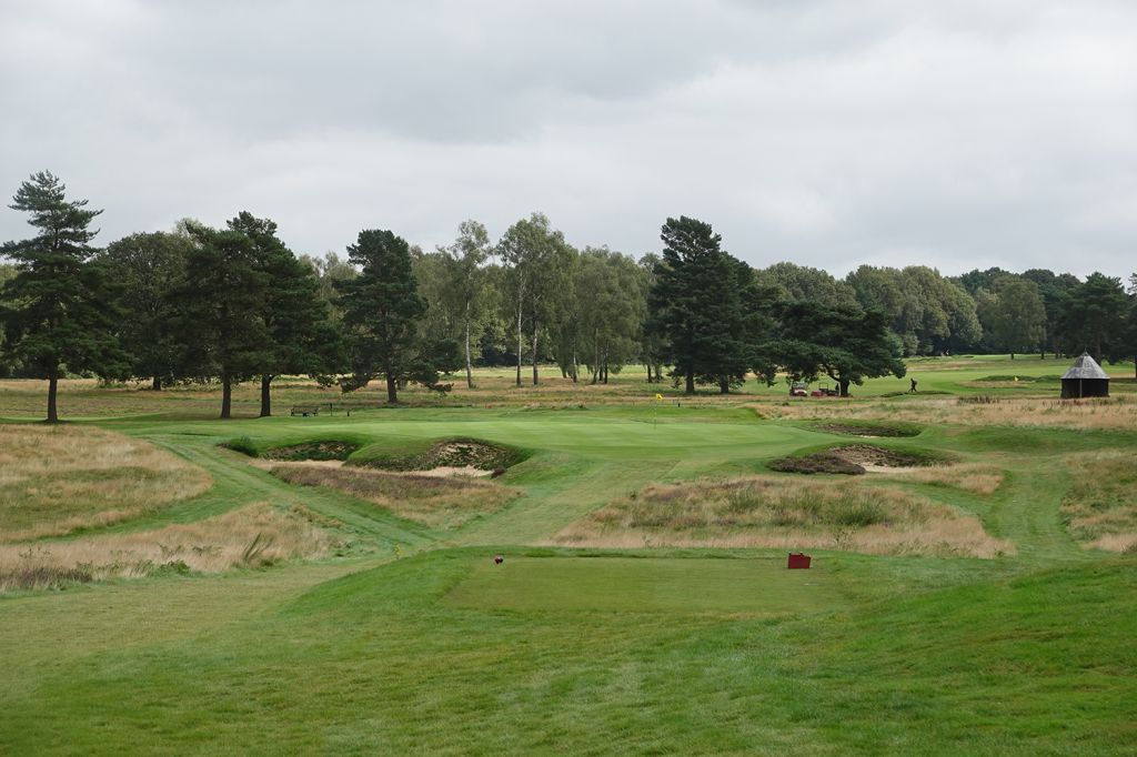 11th Hole at Walton Heath Golf Club (Old) (222 Yard Par 3)